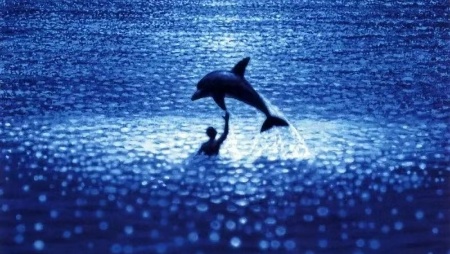 圖片關(guān)鍵詞 圖片關(guān)鍵詞